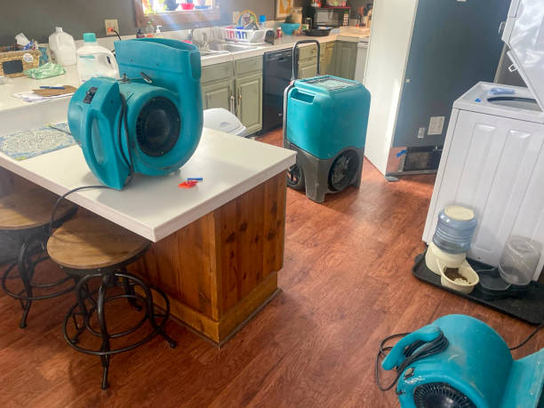 Best 24-hour water damage restoration  in Day Valley, CA