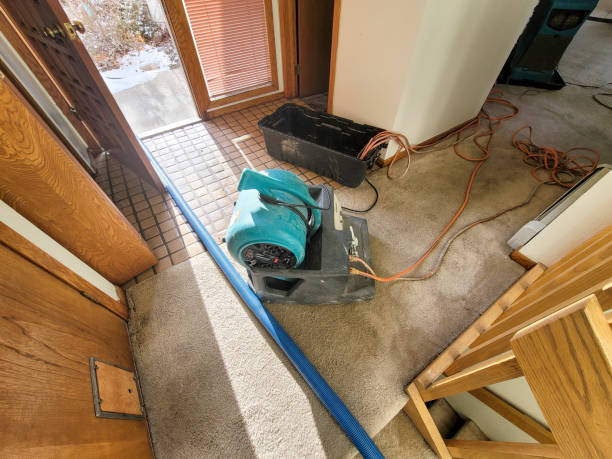 Best Ceiling water damage repair  in Day Valley, CA