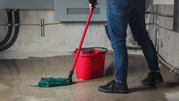 Best Flood restoration services  in Day Valley, CA