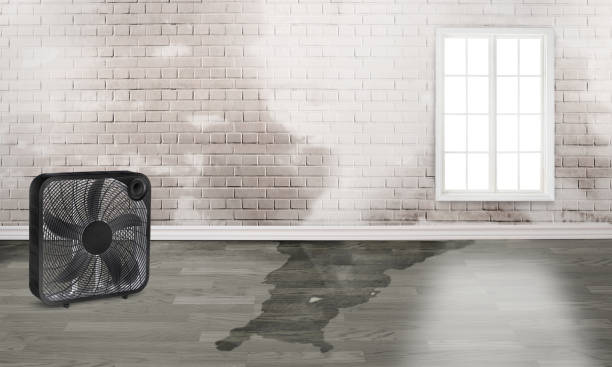 Water damage restoration experts in Day Valley, CA